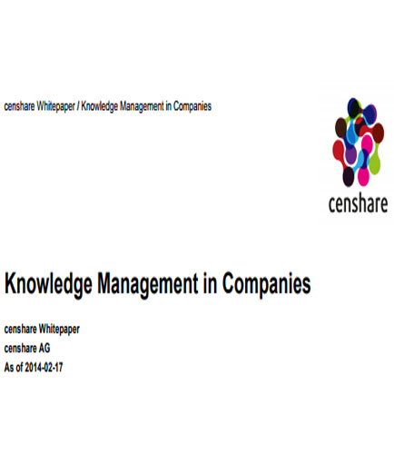 Knowledge Management in Companies